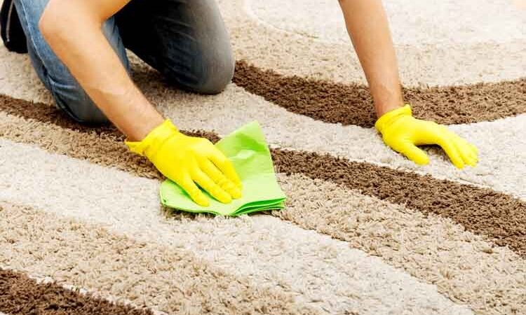 Why Hire a Professional to Clean Your Carpets