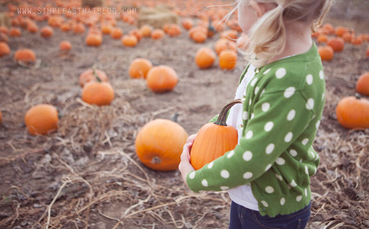 Capture the Magic of Your Pumpkin Photoshoo