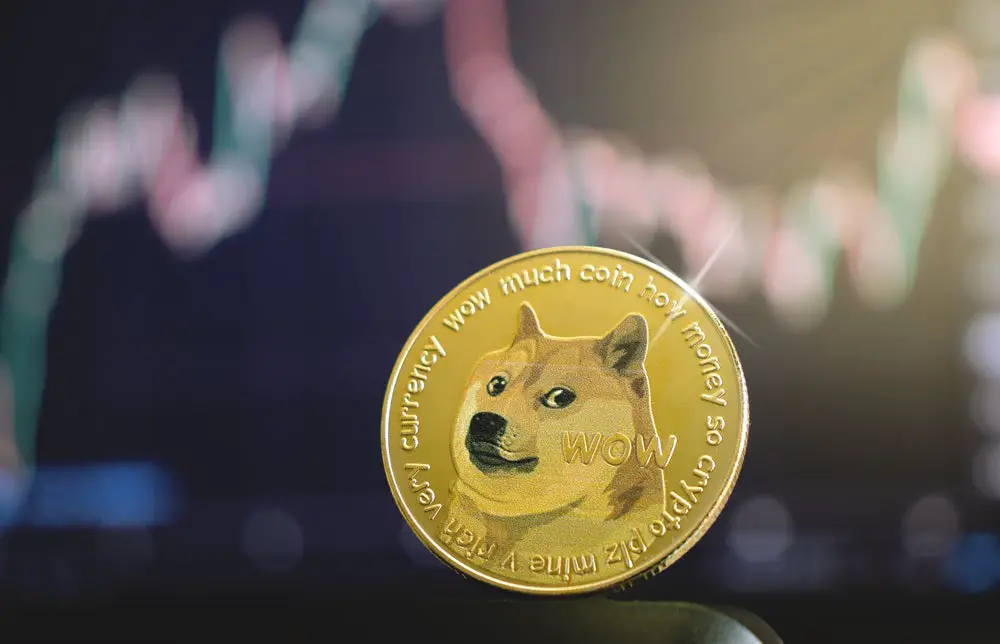 Doge Prediction 2025: What to Expect