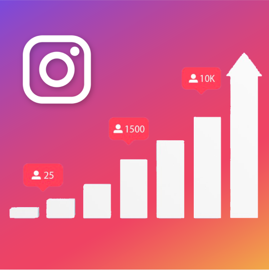 The Benefits of Using an Instagram Analyzer