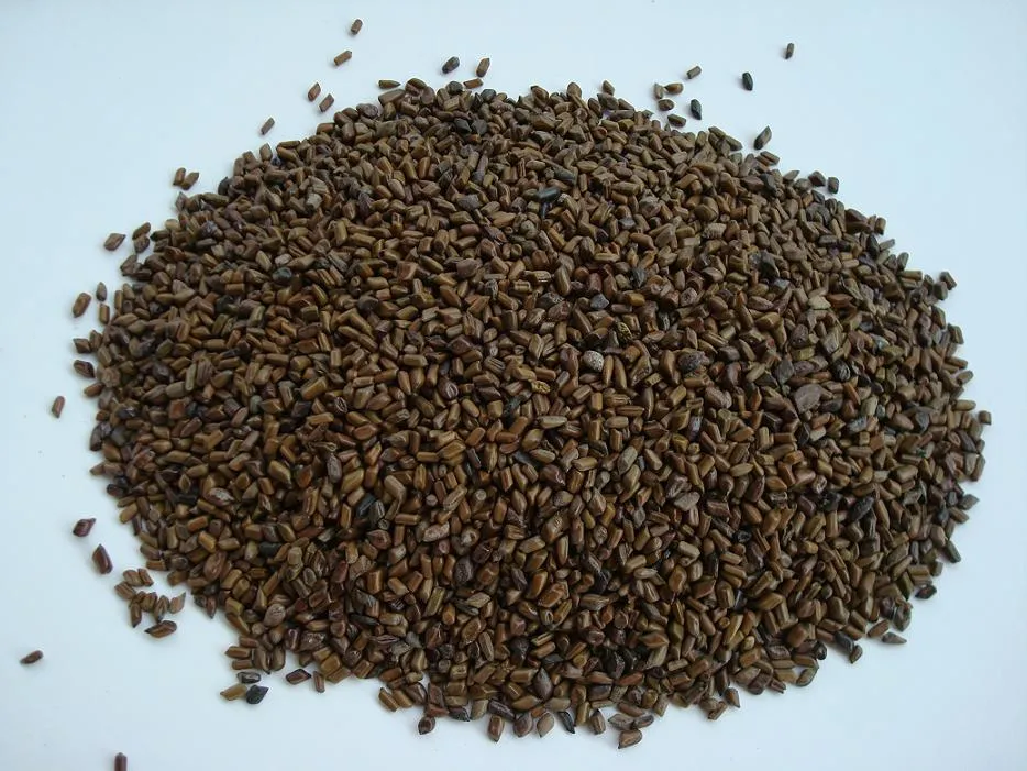 Cassia Obtusifolia Seed Extract: The Natural Remedy for Skin and Hair Care