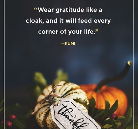 Thanksgiving Picture Quotes: Capturing the Essence of Gratitude and Celebration