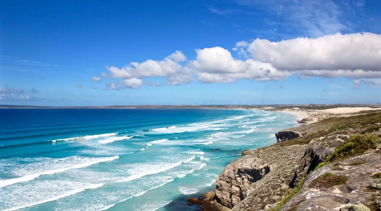 Things to Do in Port Lincoln: A Coastal Gem in South Australia